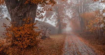 Prognoza Pogody - 28 Października