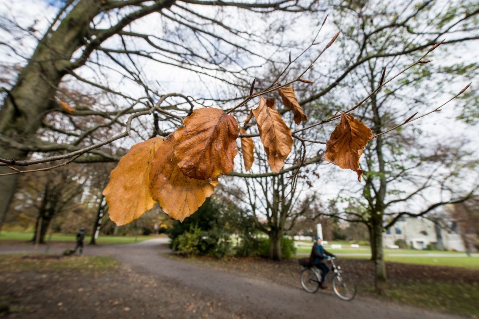 Prognoza pogody - 2 listopada