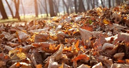 Prognoza Pogody - 12 Listopada