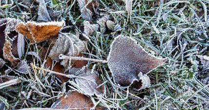 Kolejny Pochmurny Dzień. ...