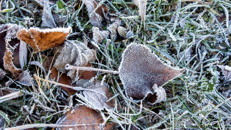 Kolejny pochmurny dzień. Prognoza pogody dla Gostynina