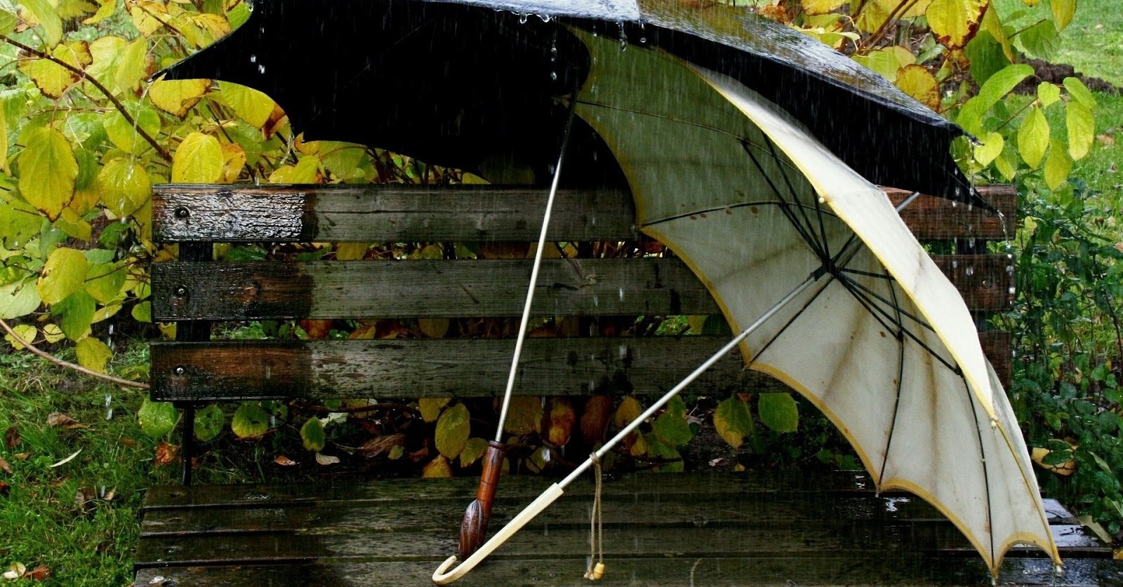 W piątek przydadzą się parasole. Prognoza pogody dla Gostynina