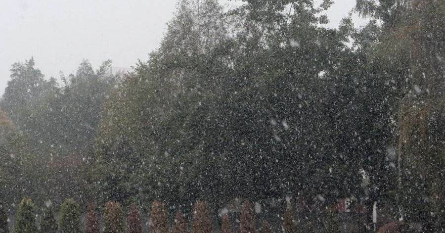 Spadnie pierwszy śnieg. Prognoza pogody dla Gostynina