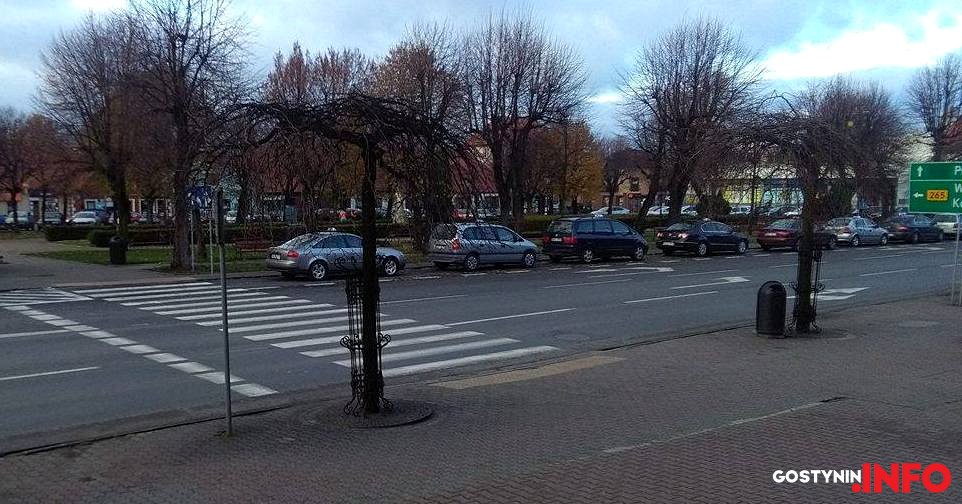 Bez mrozu ale z opadami. Prognoza dla Gostynina
