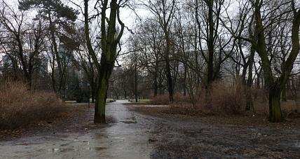 Pochmurny Wtorek. Prognoza...