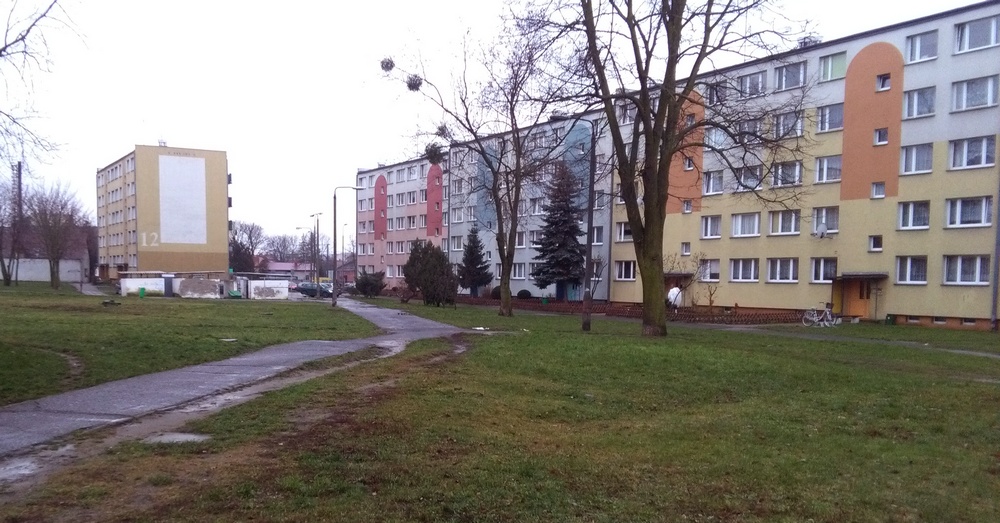 Nowy tydzień, nowe ocieplenie. Prognoza dla Gostynina