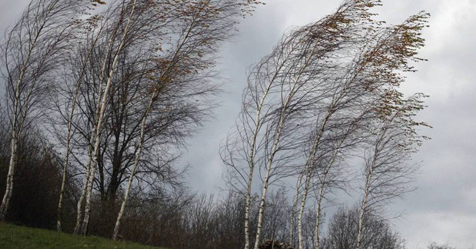 Pierwszy dzień świąt bez deszczu, ale nadal wietrzny. Prognoza dla Gostynina