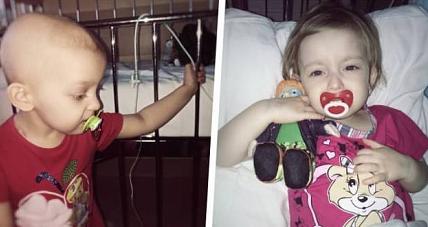 Charytatywny Pokaz Zwierząt ...