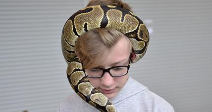 Zbiórka Dla Weroniki. Pokaz ...