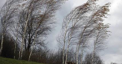 Meteorolodzy Ostrzegają: ...