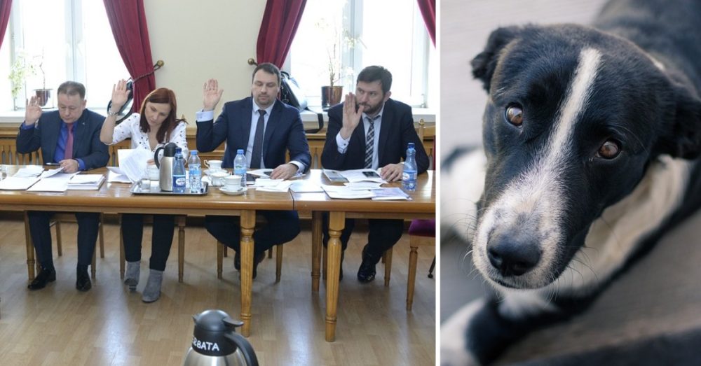 Program Opieki Nad Zwierzętami ...