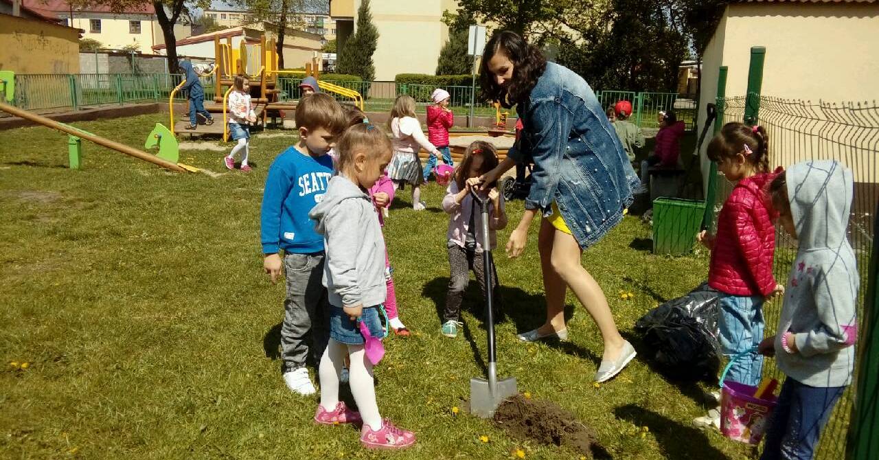 Akcja sadzenia drzew w Akademii Przedszkolaka [ZDJĘCIA]
