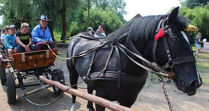 Dzień Dziecka Nad Zalewem ...