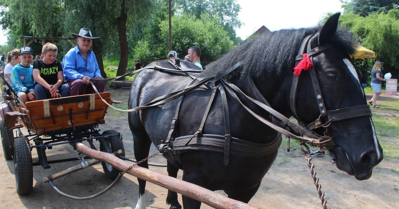 Dzień Dziecka nad Zalewem Piechota [ZDJĘCIA]
