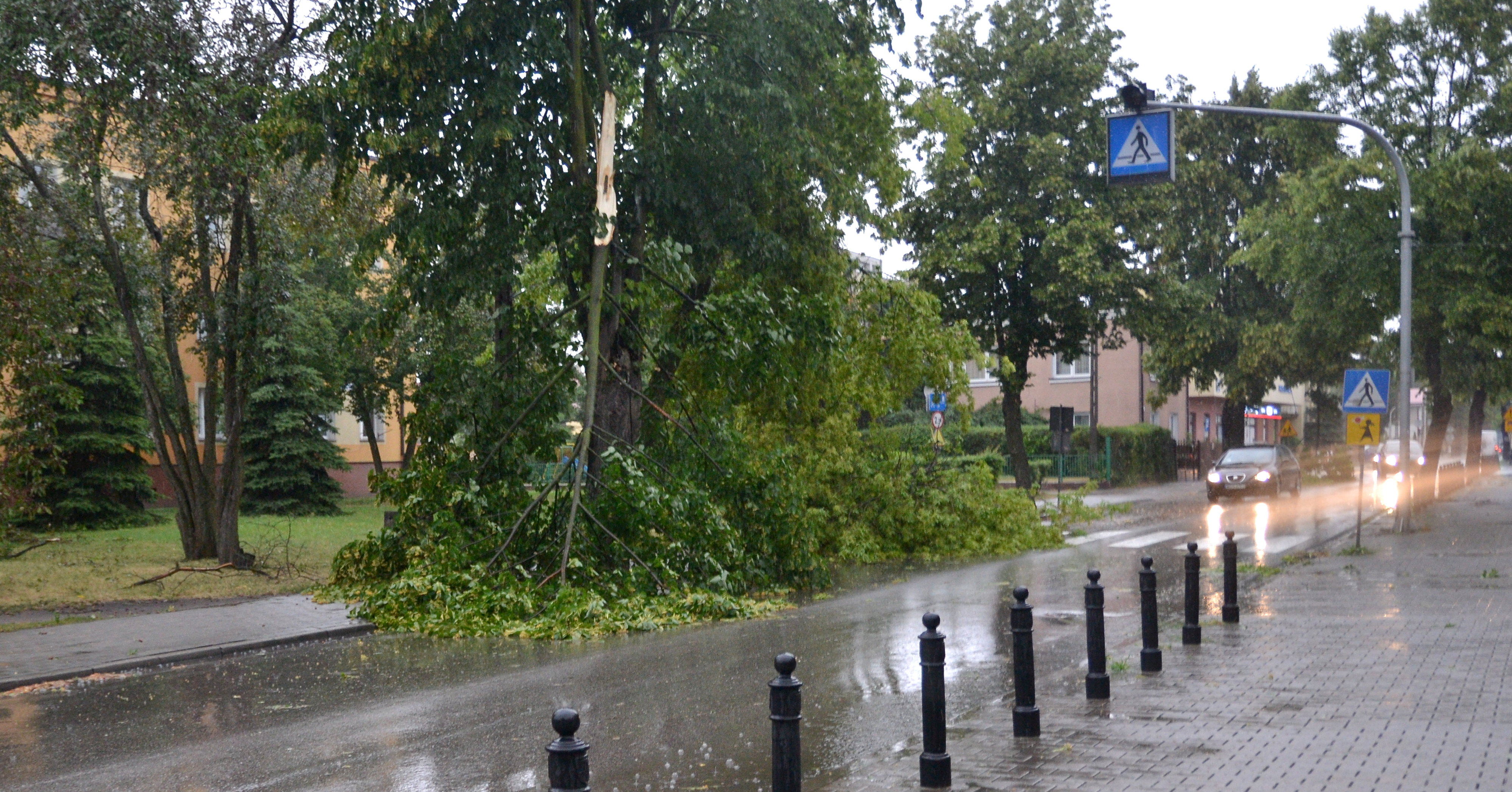 Połamane drzewa i zablokowane drogi w Gostyninie. Miasto po huraganie [ZDJĘCIA]