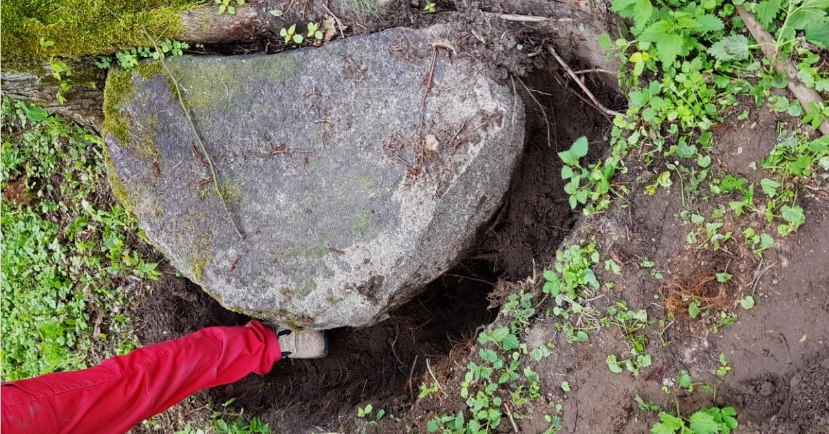 Niezwykłe znalezisko w Bierzewicach [ZDJĘCIA]
