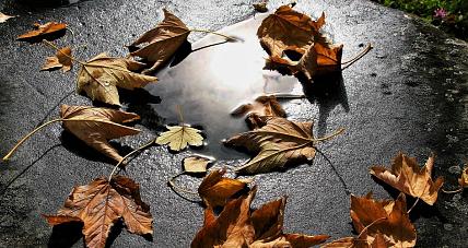 Koniec Ze Słoneczną Pogodą. We...