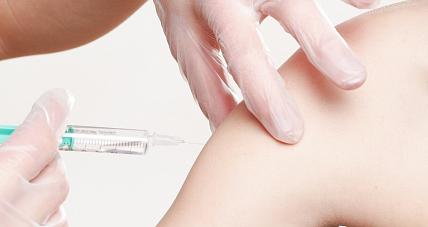 Przypadki Zachorowań Na Odrę N...