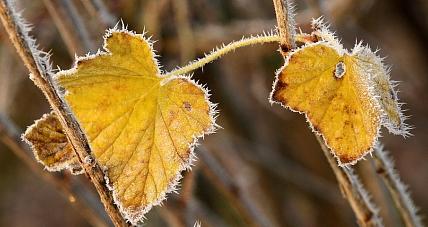 Pogoda Na Weekend. Lepiej...