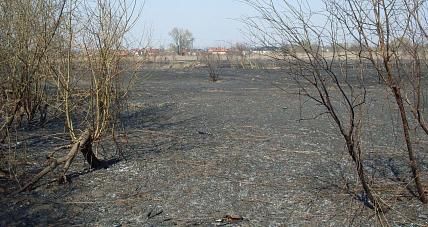 Po Pożarze 8 Hektarów ? Kr...
