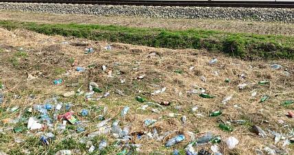 Czytelniczka O Sytuacji Na...