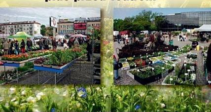 Xi Giełda Rolnicza W Płocku -...