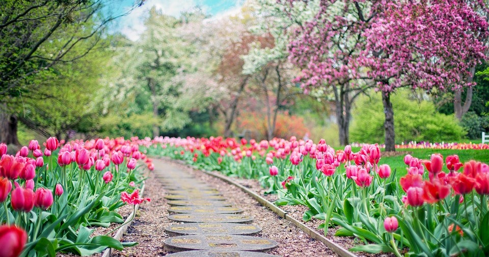 Masz piękny ogród? Zgłoś się do konkursu