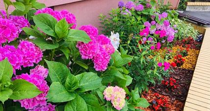 Tymi Osiedlami Aż Się Chce S...