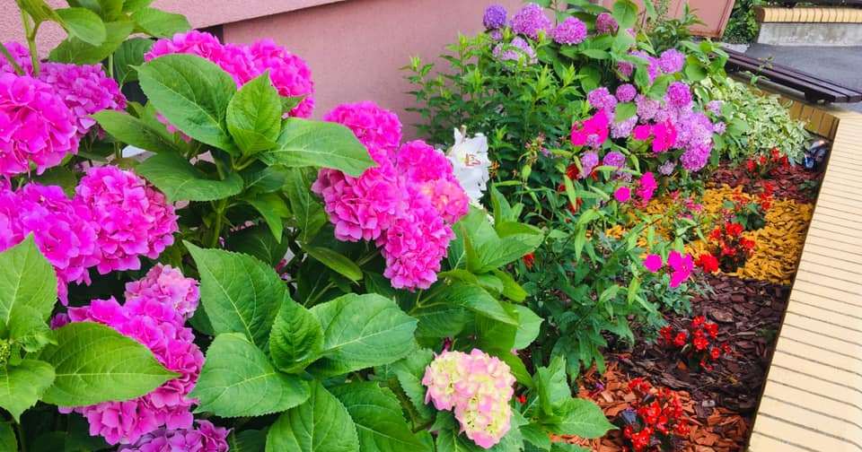 Tymi osiedlami aż się chce spacerować [ZDJĘCIA]