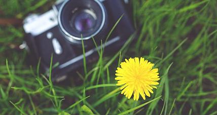 Bardzo Pozytywny Konkurs Fotograficzny