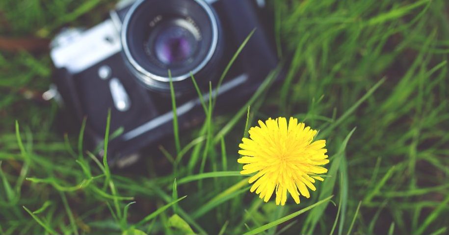 Bardzo pozytywny konkurs fotograficzny