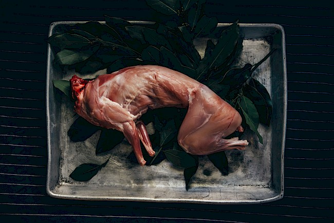 Kalorie w mięsie z królika. Sprawdziliśmy ile ich jest