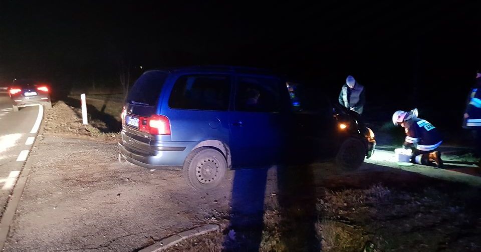 Gmina Łąck: zderzenie samochodu z jeleniem [ZDJĘCIA]