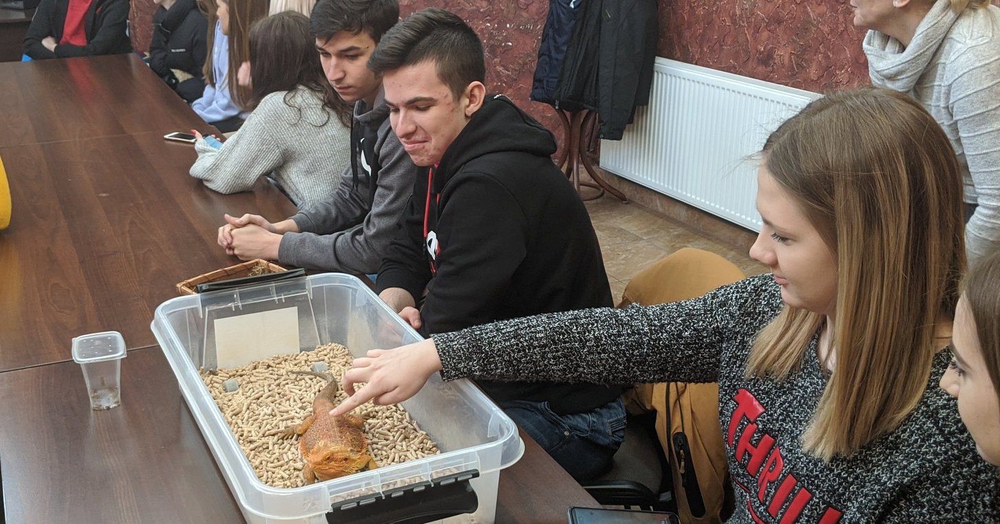 Bliskie spotkanie z gadami [ZDJĘCIA]