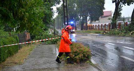 Wiatr Nie Daje Za Wygraną. ...