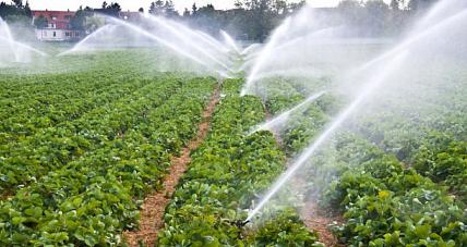 Ruszył Nabór Wniosków O Do...