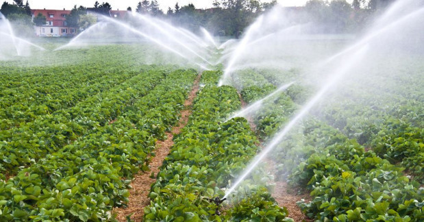 Ruszył nabór wniosków o dotację na nawadnianie gospodarstwa