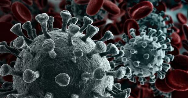 Jak można uchronić się przed koronawirusem? Rady WHO i Głównego Inspektora Sanitarnego