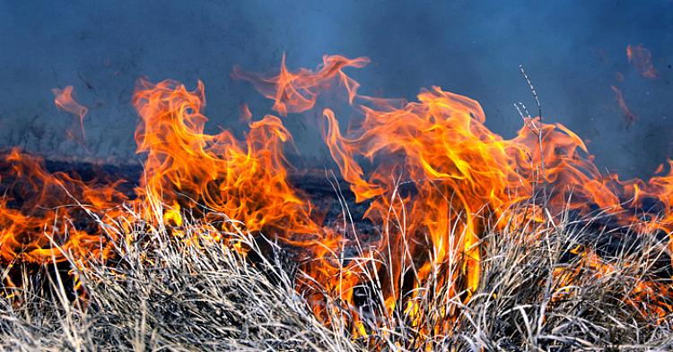 Policja ostrzega – wypalanie traw jest niebezpieczne i niedozwolone!
