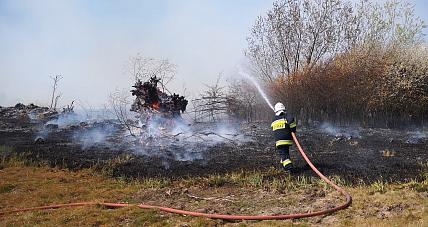 Pożar Nieużytków W Gminie Pa...