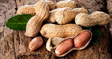 Zawartość Kalorii W Orzeszkach Z...