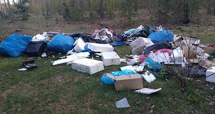 Mieszkanka O Wysypisku Pod...