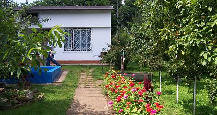 świetne Wieści Dla Działkowców. 1 M...