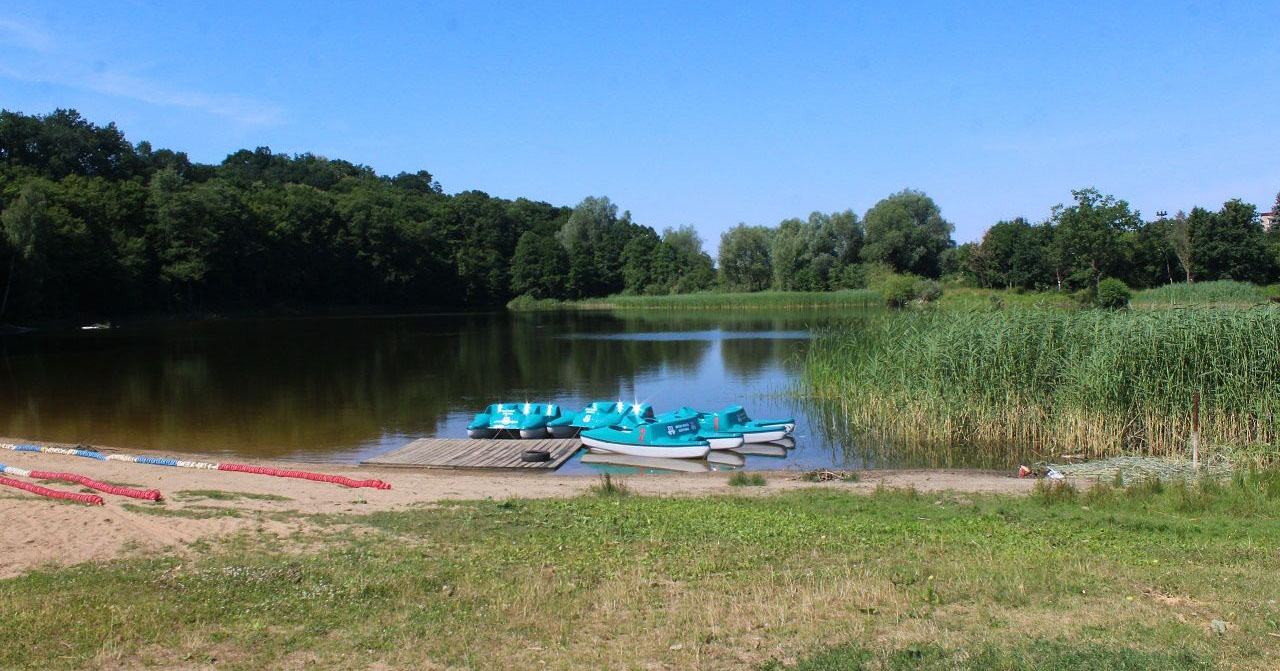 Wycinka trzciny na jeziorze Bratoszewo. Ruszyło postępowanie administracyjne