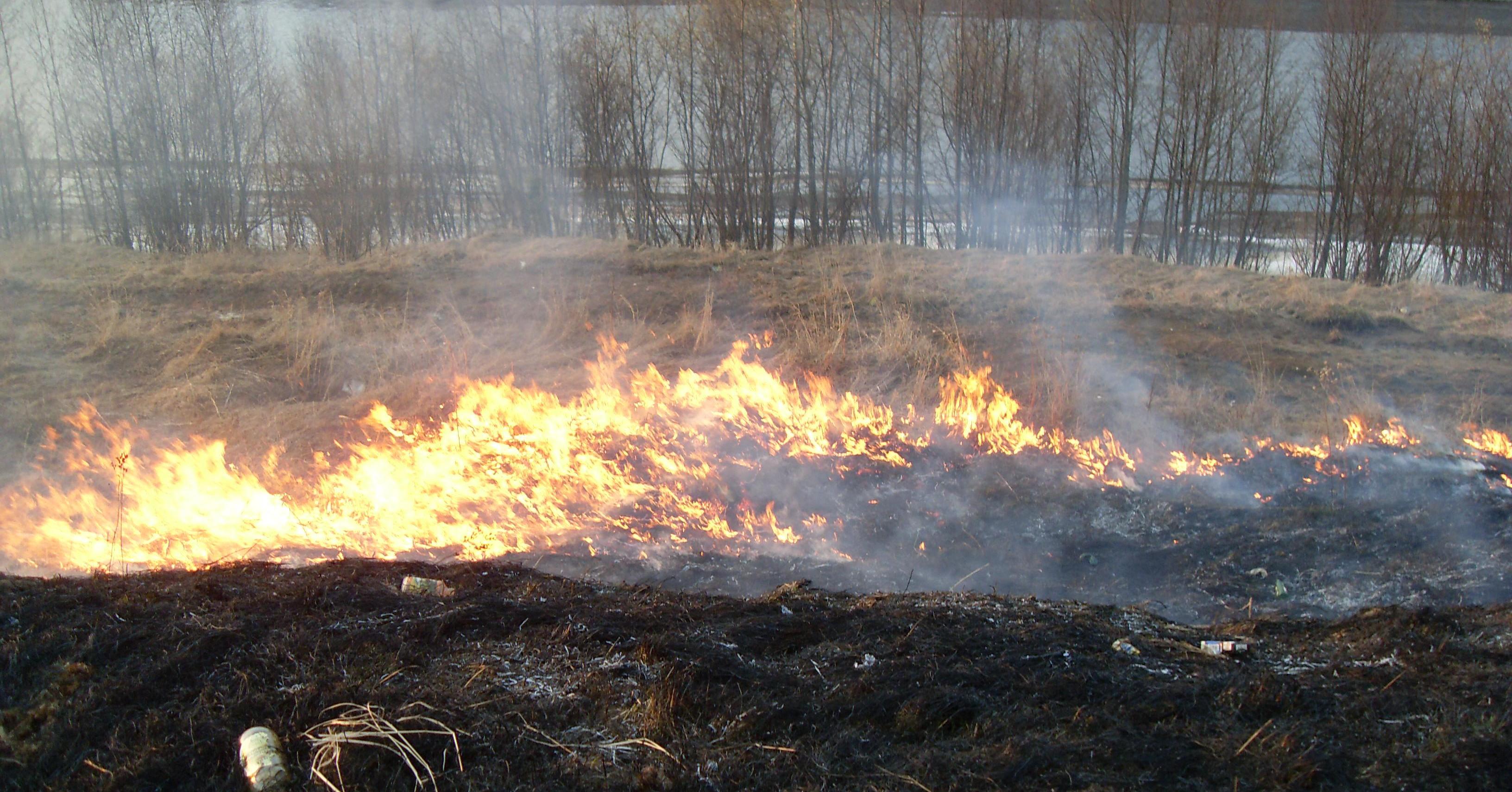 Wypalanie traw jest zabronione