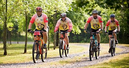 Rowerzysta Na Drodze ? Podstawowe ...