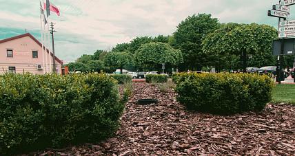 Wiosna W Gostyninie [zdjęcia]