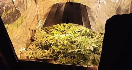 Poszukiwali Sprawców Kradzieży, A...