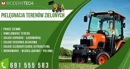 Jak Mieć Piękny Trawnik W...