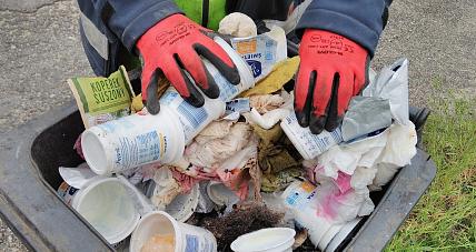 Mieszkańcy Nieprawidłowo S...